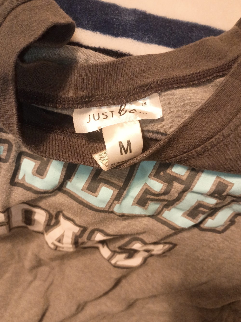 just be Gray Tee with Blue and White Graphic